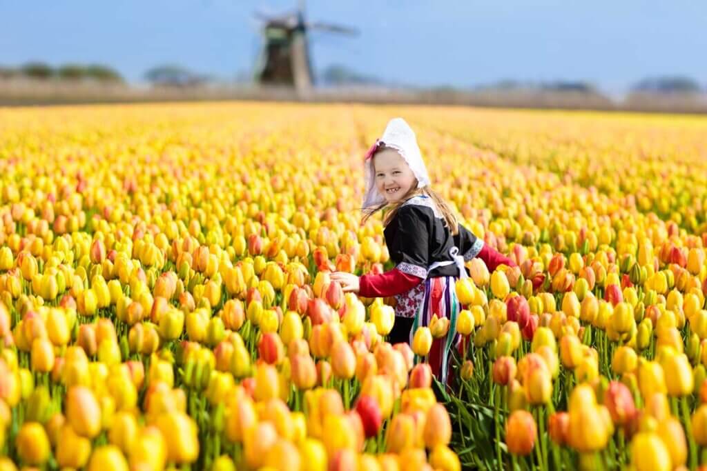 チューリップ畑のオランダの少女
